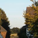 2016 montgolfiade 02.JPG