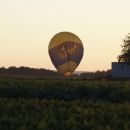 2016 montgolfiade 14.JPG