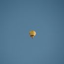 2016 montgolfiade 11.JPG