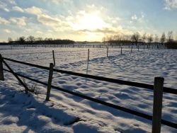 winter 01