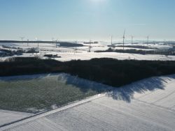 dolfsbusch winter 2025.JPG