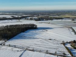 roellingsen winter 2025.JPG